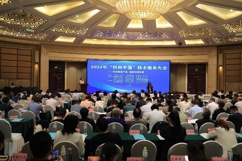 2024年科創(chuàng)中國(guó)技術(shù)服務(wù)大會(huì)在泰安圓滿(mǎn)舉辦 引領(lǐng)技術(shù)創(chuàng)新與產(chǎn)業(yè)融合新篇章